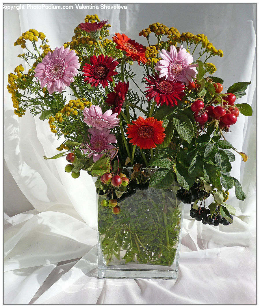 Plant, Potted Plant, Flower, Flower Arrangement, Flower Bouquet, Floral Design, Ikebana