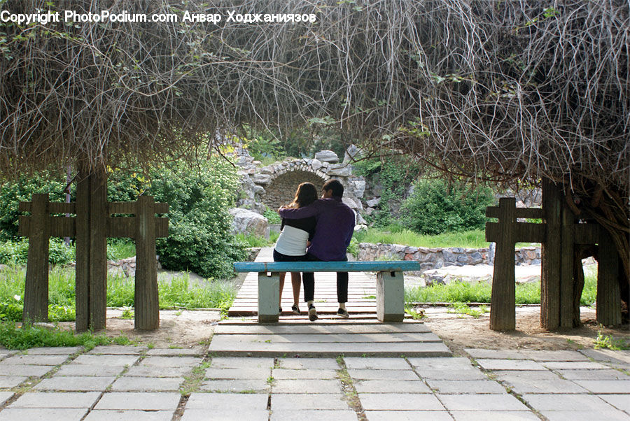 People, Person, Human, Back, Bench, Plant, Tree