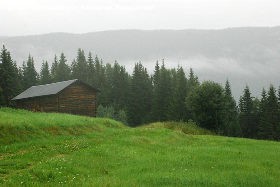 Building, Cabin, Shelter, Outdoors, Plateau, Field, Grass