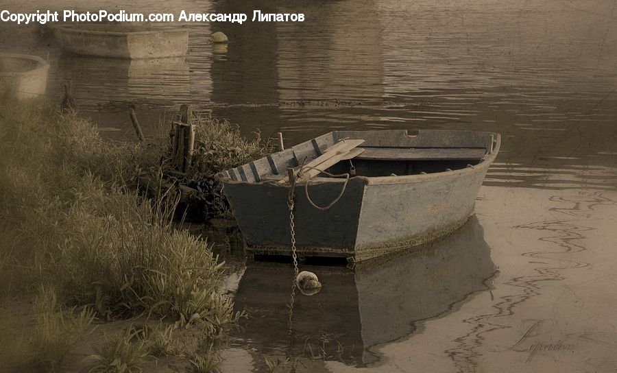 Boat, Rowboat, Vessel, Watercraft, Dinghy, Grass, Plant