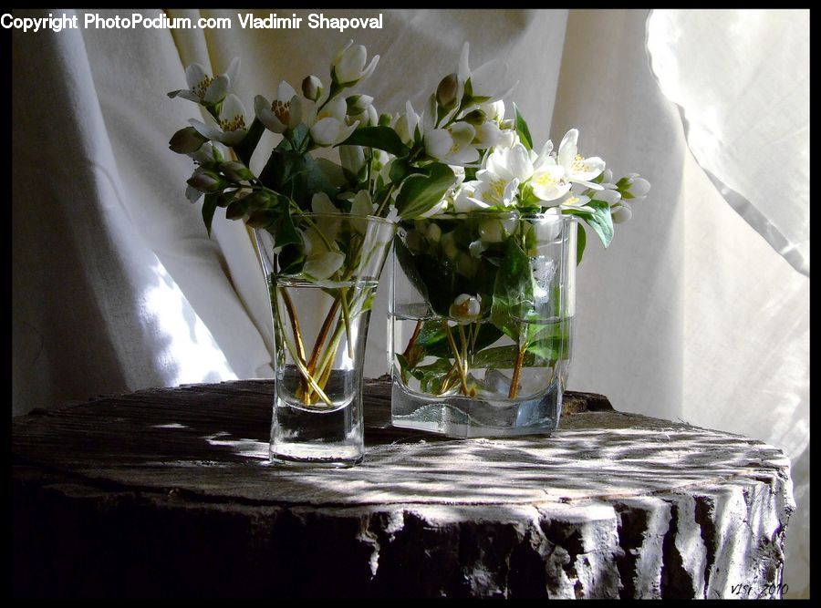 Glass, Jar, Plant, Potted Plant, Floral Design, Flower, Flower Arrangement