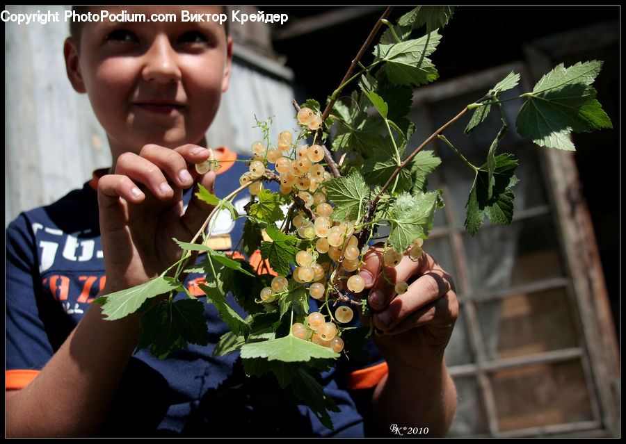 People, Person, Human, Floral Design, Flower, Flower Arrangement, Flower Bouquet