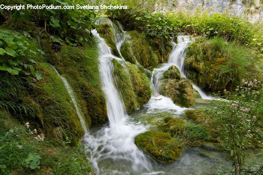 Outdoors, River, Water, Waterfall, Creek, Stream, Forest