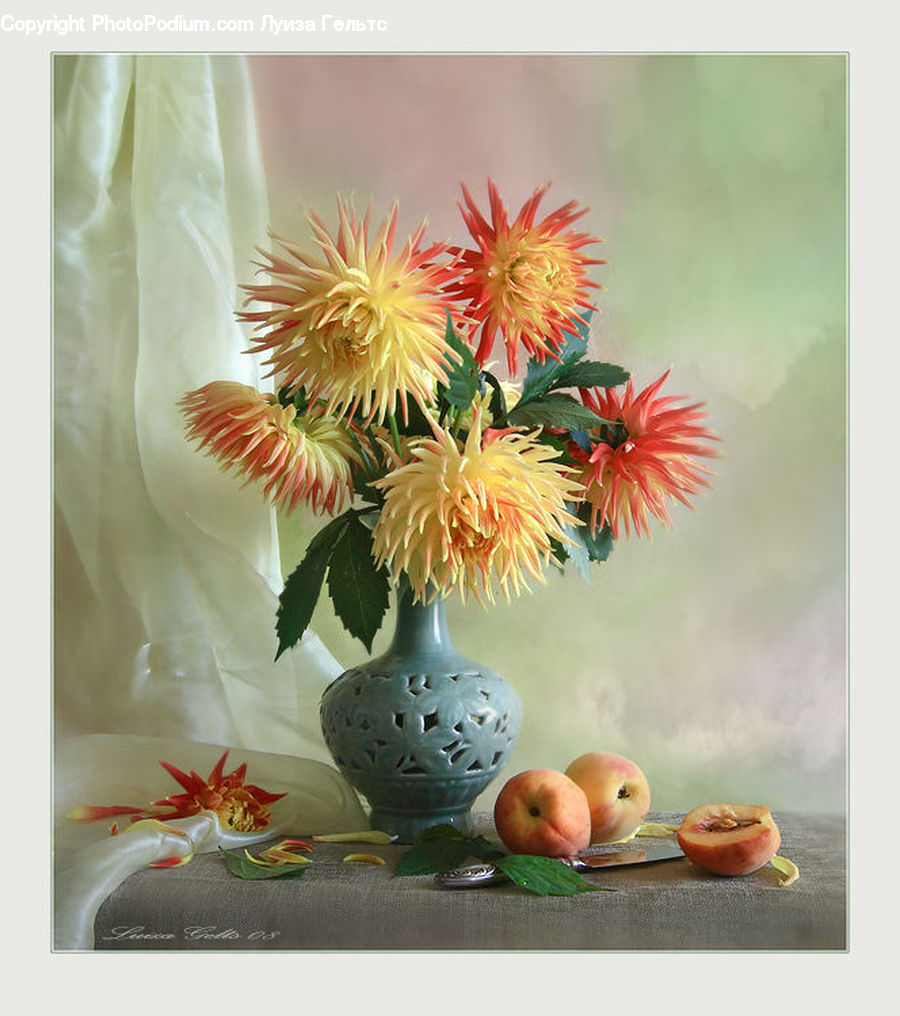 Jar, Porcelain, Vase, Floral Design, Flower, Flower Arrangement, Flower Bouquet