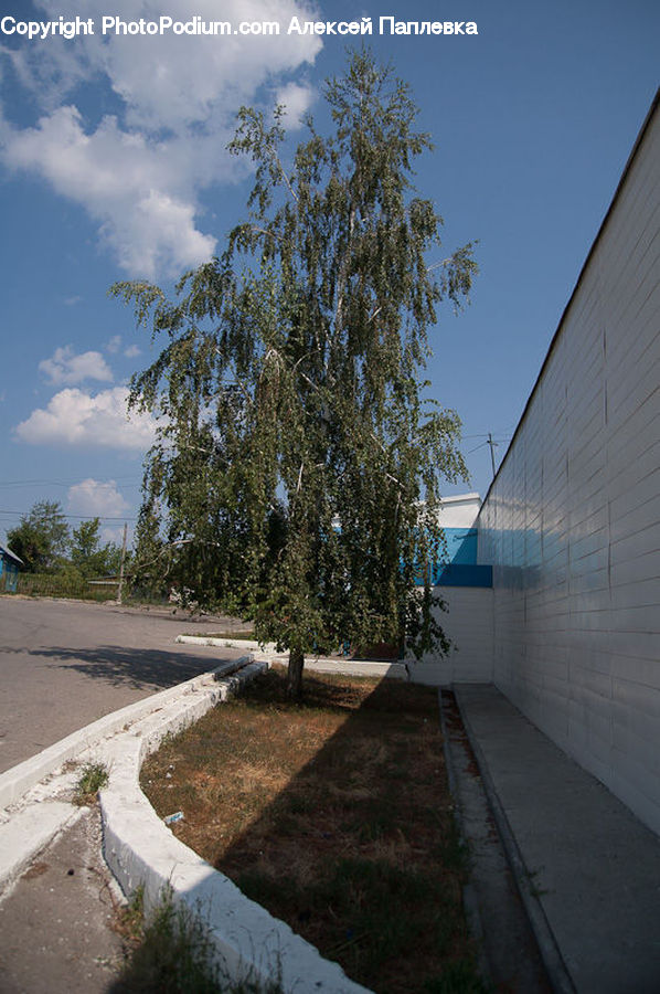 Flagstone, Building, Office Building, Art, Modern Art, Landscape, Nature