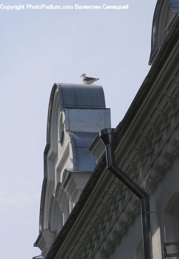 Architecture, Bell Tower, Clock Tower, Tower, Dome, Roof, Apartment Building