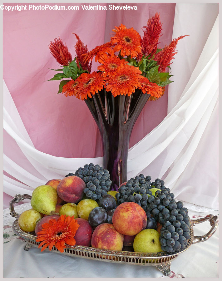 Fruit, Glass, Goblet, Bowl, Floral Design, Flower, Flower Arrangement