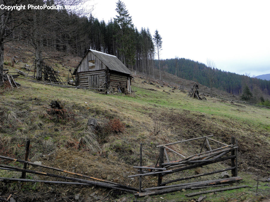 Building, Cabin, Shelter, Hut, Rural, Shack, Cottage