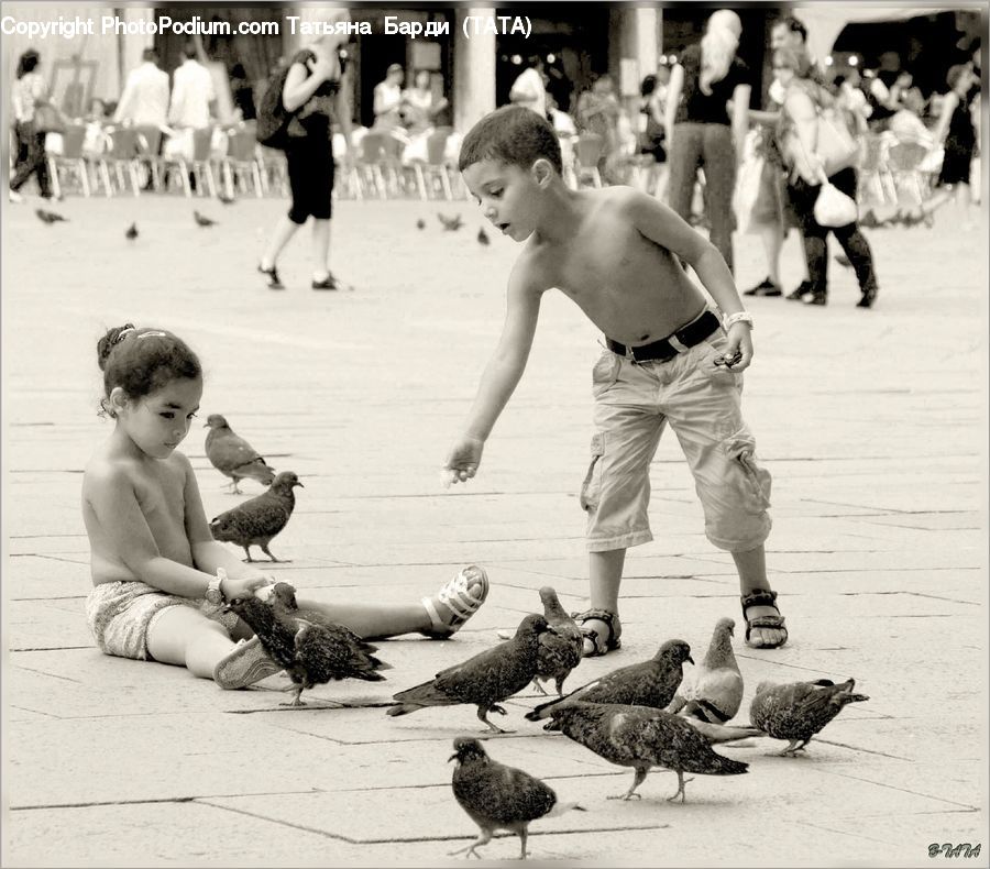 Human, People, Person, Bird, Pigeon, Crowd, Outdoors
