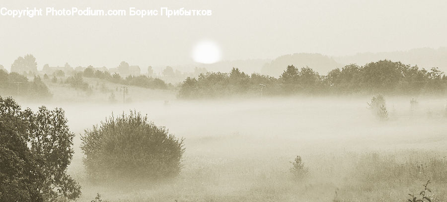 Fog, Landscape, Nature, Scenery