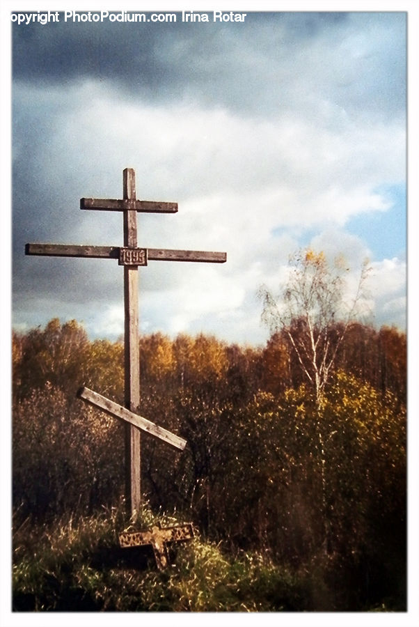 Cross