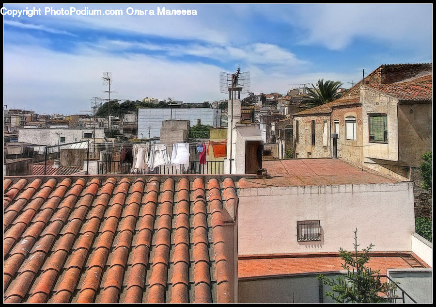 Plant, Potted Plant, Roof, Tile Roof, Balcony, Building, Downtown