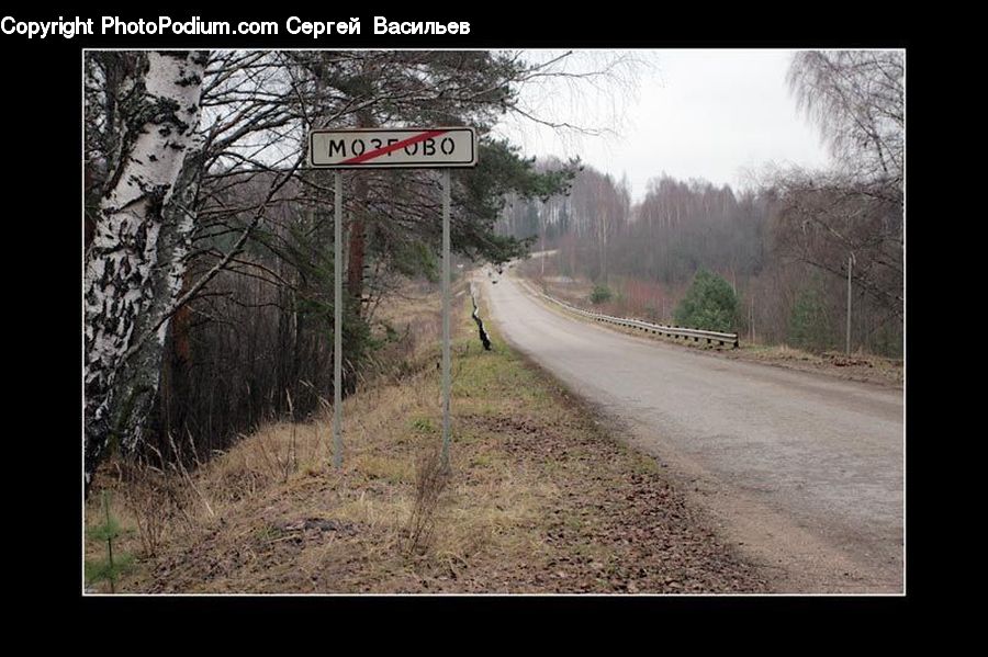 Dirt Road, Gravel, Road, Bench, Path, Trail, Forest