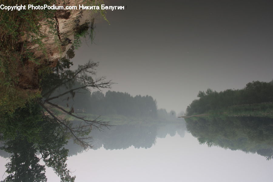 Plant, Tree, Potted Plant, Fog, Canal, Outdoors, River