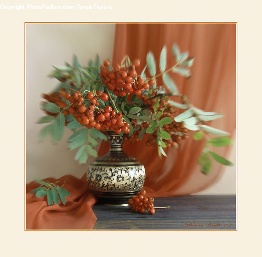 Pot, Pottery, Bonsai, Plant, Potted Plant, Tree, Flower Arrangement