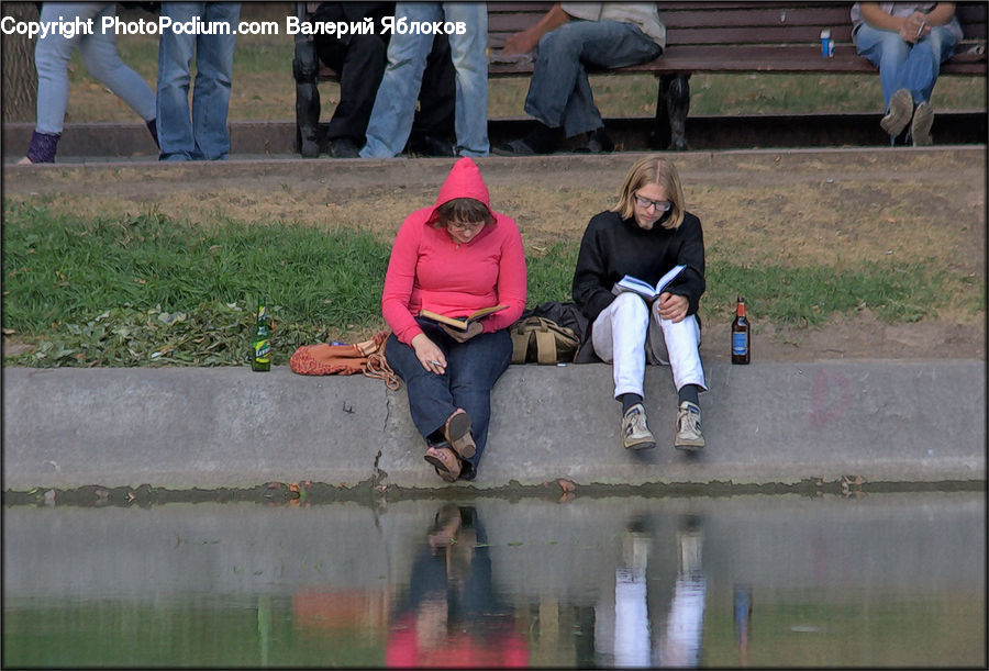 People, Person, Human, Puddle, Bench, Leisure Activities, Walking
