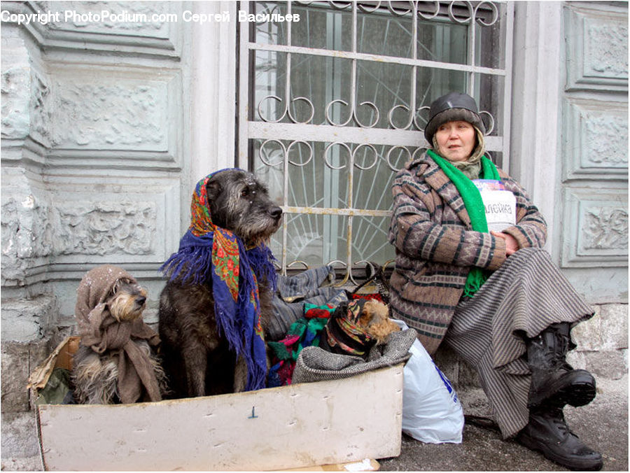 Human, People, Person, Clothing, Scarf, Affenpinscher, Animal
