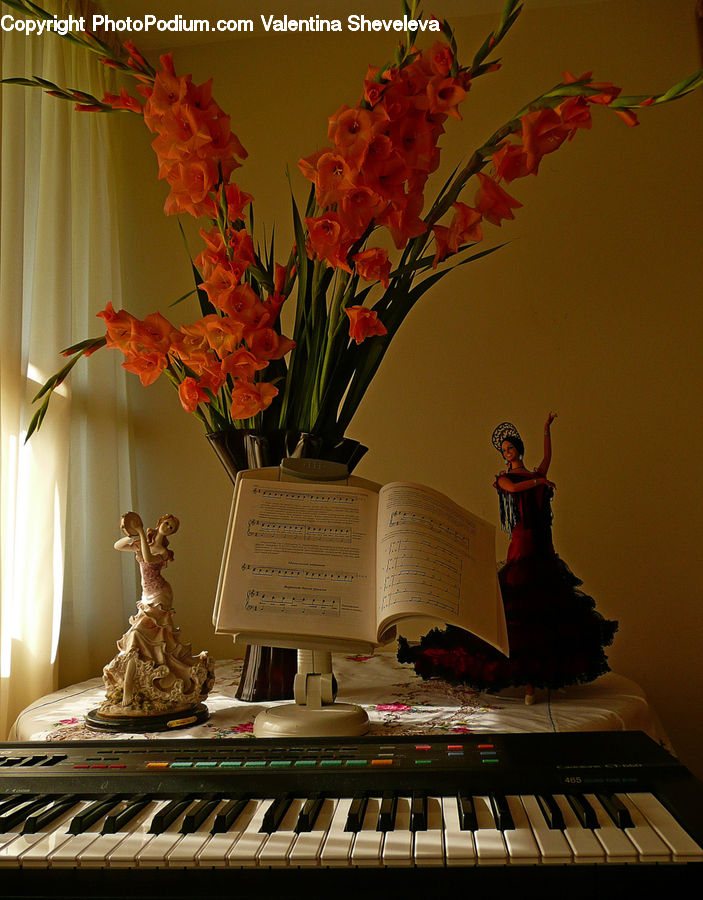 Flower Arrangement, Ikebana, Plant, Potted Plant, Vase, Grand Piano, Musical Instrument