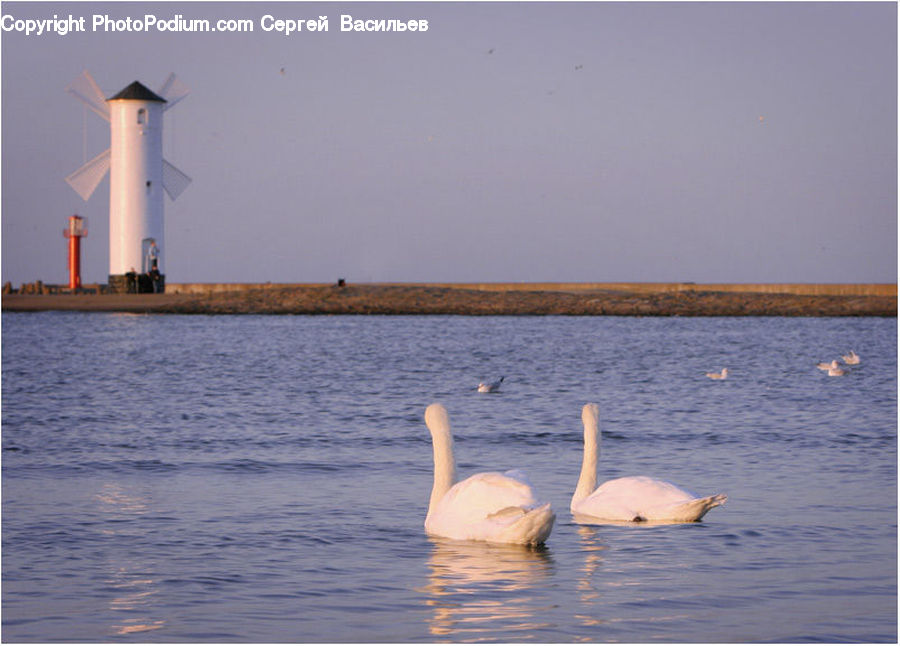 Bird, Swan, Waterfowl, Goose, Beacon, Building, Lighthouse