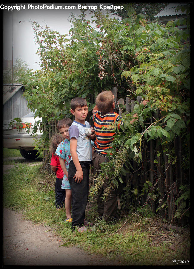 Human, People, Person, Plant, Potted Plant, Outdoors, Soil