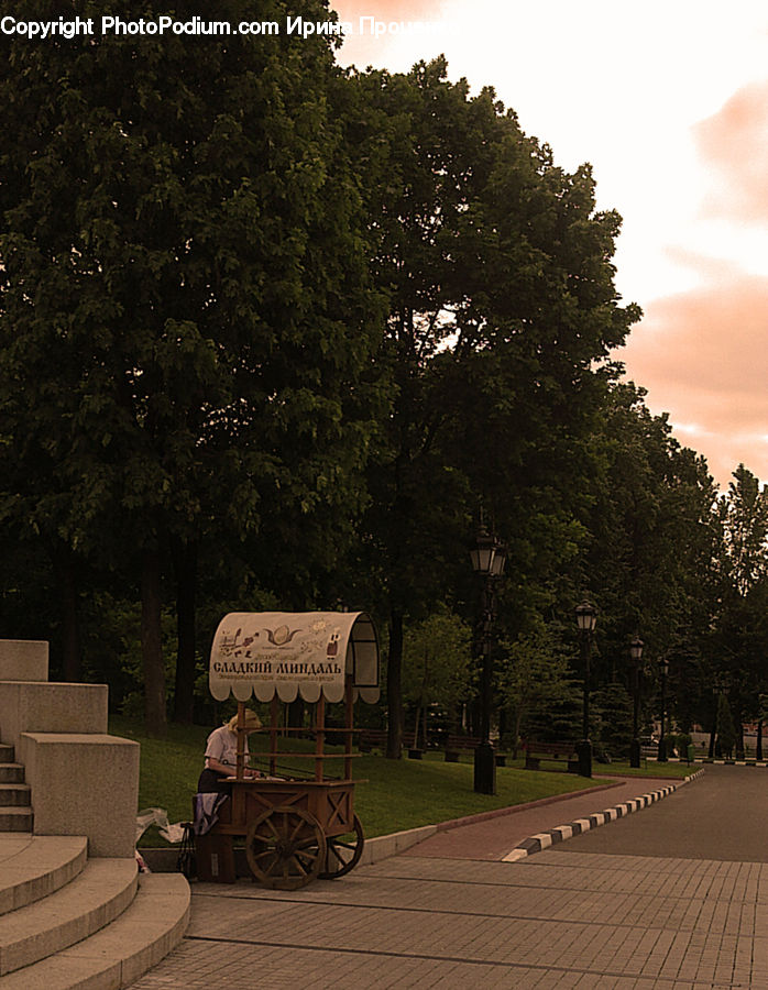 Car, Wagon, Chair, Furniture, Bench, Auditorium, Concert