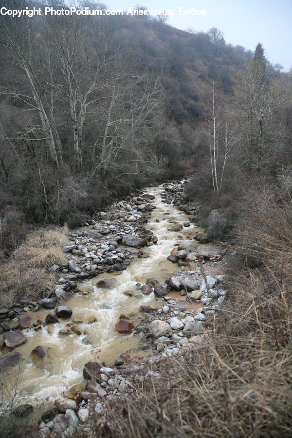 Creek, Outdoors, River, Water, Wilderness, Rock, Field