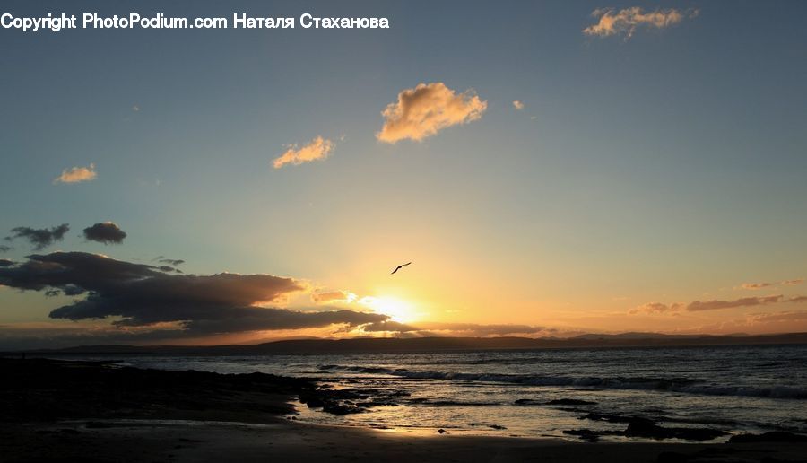 Dusk, Outdoors, Sky, Sunlight, Sunrise, Sunset, Beach