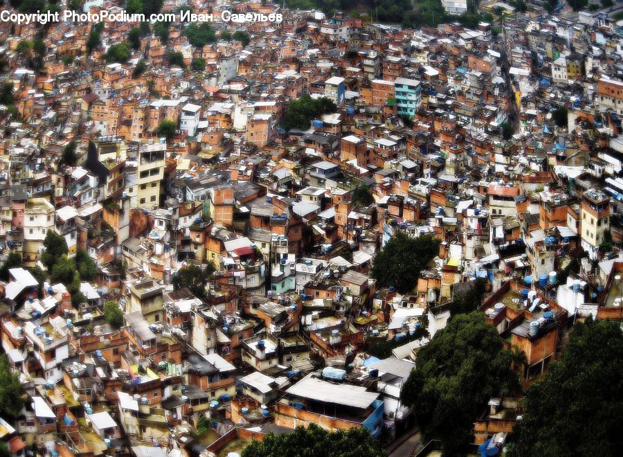 Downtown, Slum, Aerial View, Plant, Potted Plant, Roof, City