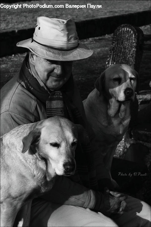 Animal, Person, Portrait, Selfie