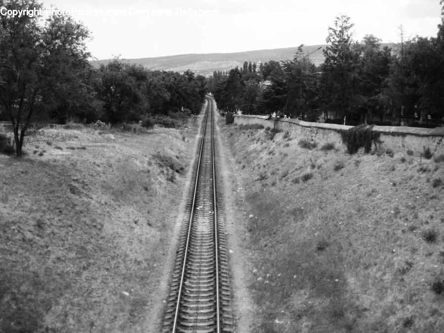 Rail, Train Track, Path, Trail