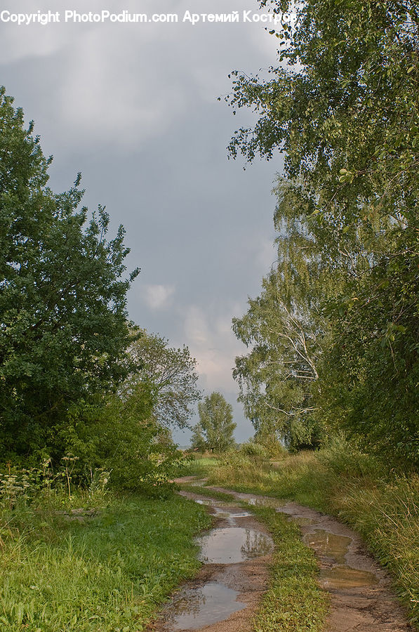 Dirt Road, Gravel, Road, Path, Walkway