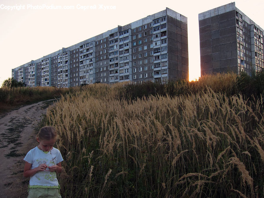 People, Person, Human, Building, City, High Rise, Office Building