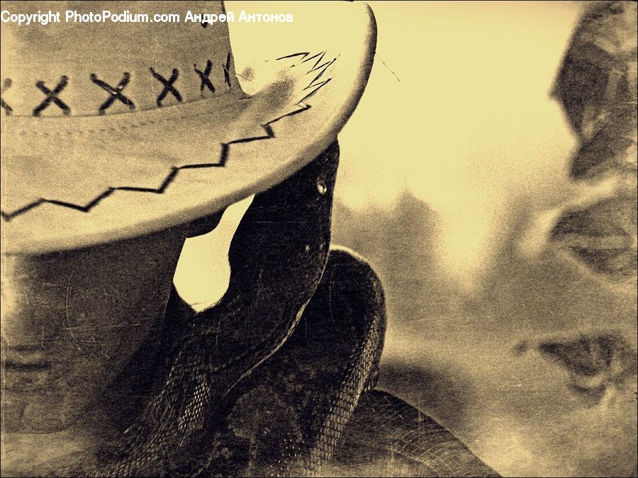 Cowboy Hat, Hat, Sun Hat, Person, Portrait, Selfie
