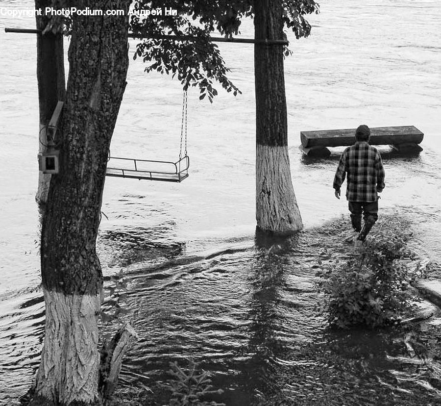 Human, People, Person, Plaid, Dock, Landing, Pier