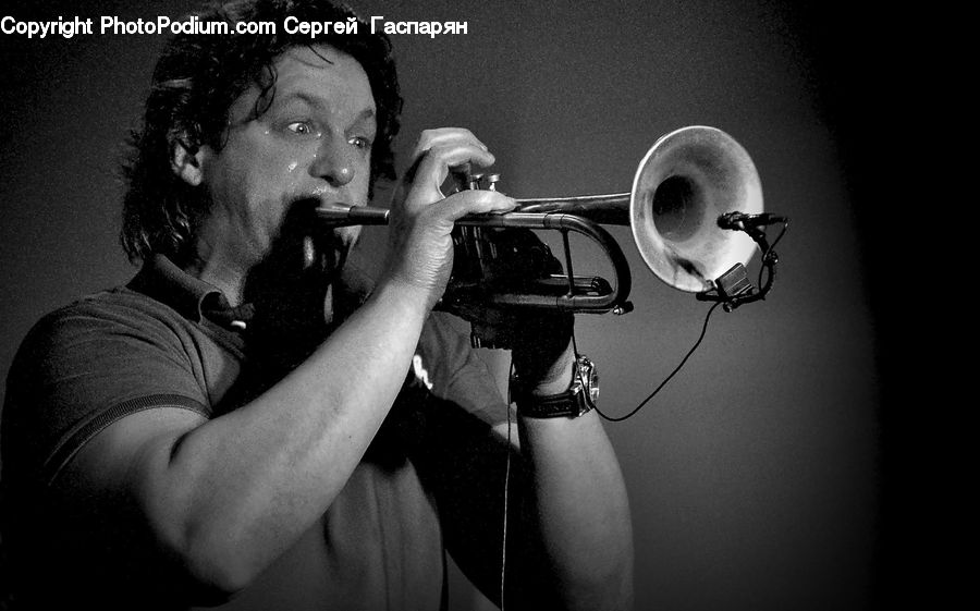 People, Person, Human, Brass Section, Horn, Musical Instrument, Trumpet