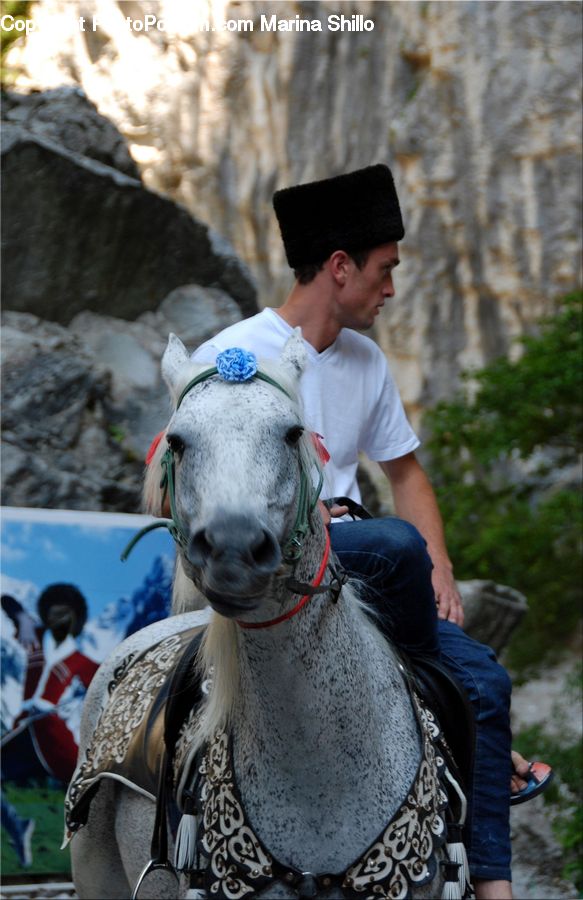People, Person, Human, Animal, Equestrian, Horse, Bicycle