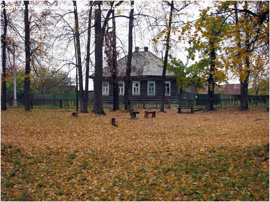 Yard, Building, Cottage, Housing, Gazebo, Bench, Architecture