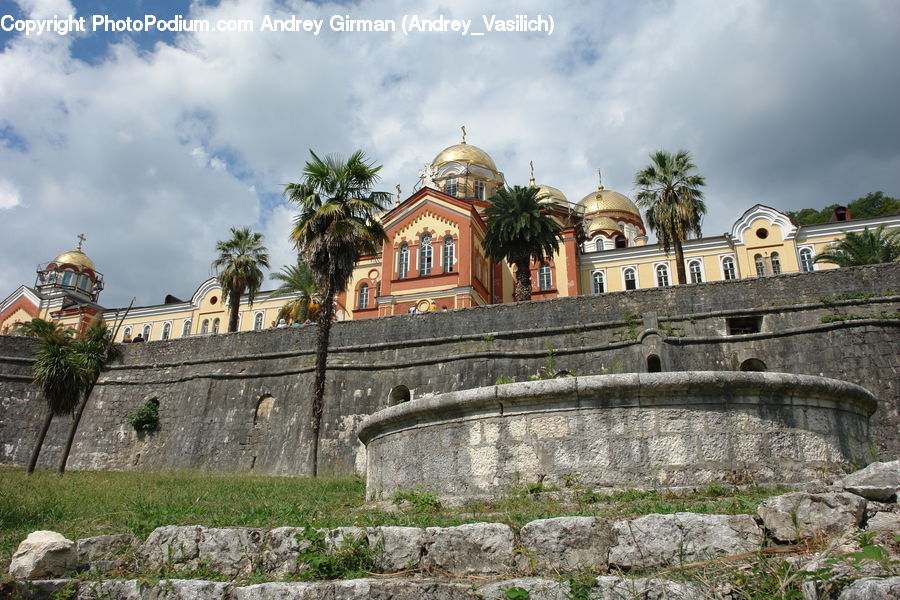 Palm Tree, Plant, Tree, Castle, Fort, Architecture, Dome