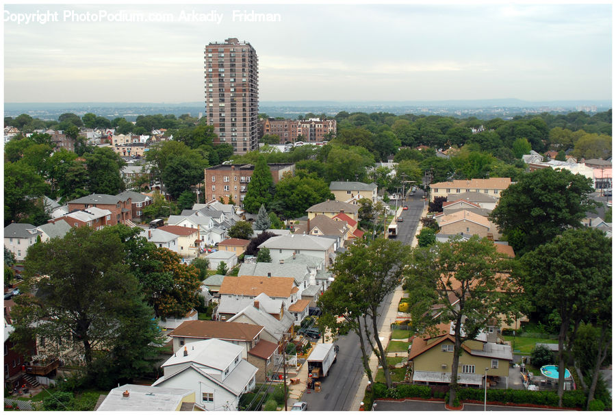 Aerial View, Plant, Tree, Bonsai, Potted Plant, Architecture, Downtown