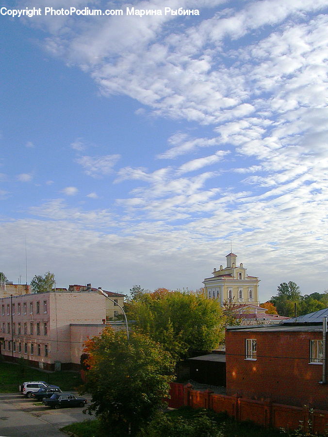 Plant, Potted Plant, Brewery, Factory, Building, Cottage, Housing