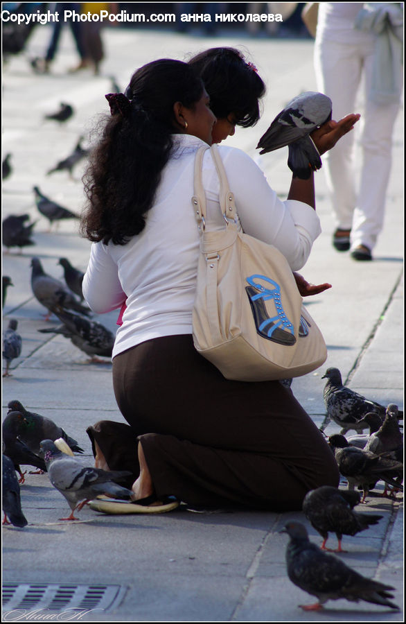 People, Person, Human, Bird, Pigeon, Bag, Dove