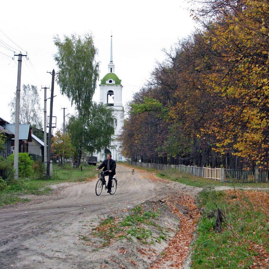 Plant, Potted Plant, Dirt Road, Gravel, Road, Tree, Willow