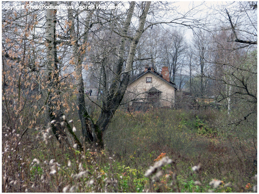 Building, Cottage, Housing, Architecture, Church, Worship, Cabin