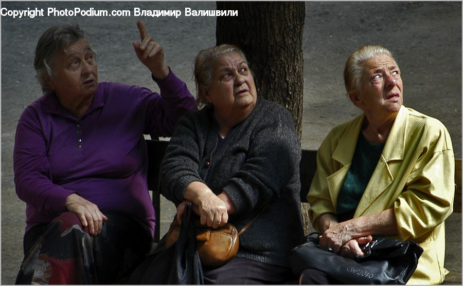 Human, People, Person, Senior Citizen, Sitting, Leisure Activities