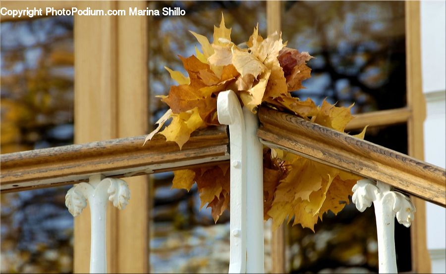 Cross, Maple, Maple Leaf, Plant, Wood, Food, Banister