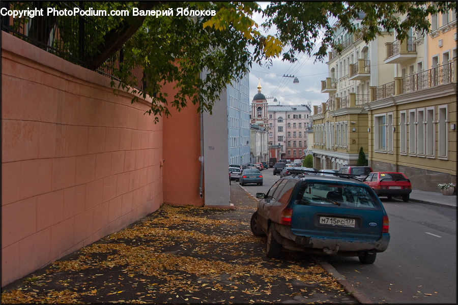 Automobile, Car, Vehicle, Plant, Potted Plant, Parking, Parking Lot