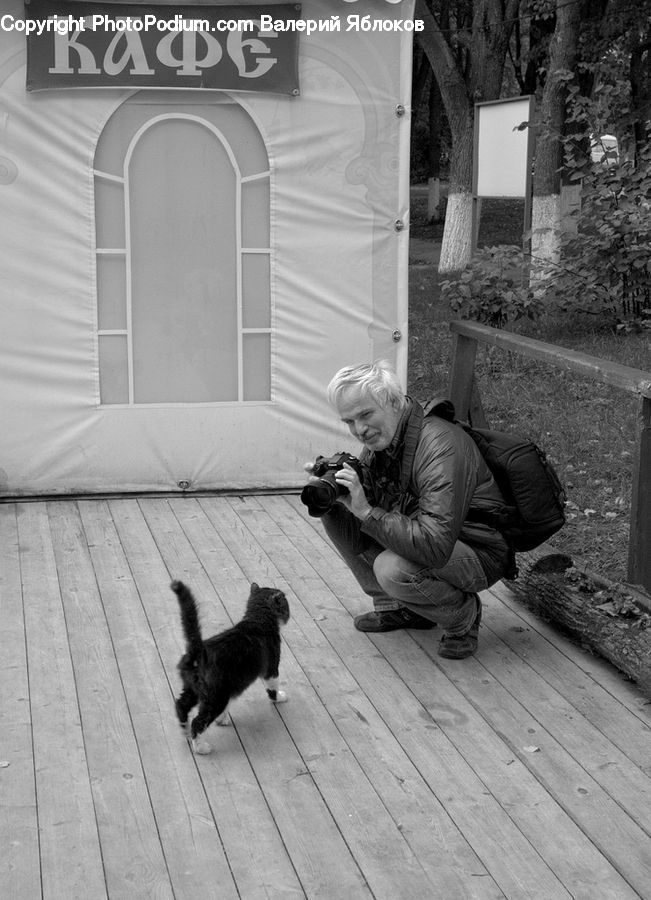 Person, Photographer, Reading, Camera, Electronics, Animal, Cat