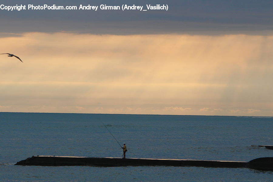 Boat, Dinghy, Outdoors, Sea, Water, Bird, Crane Bird