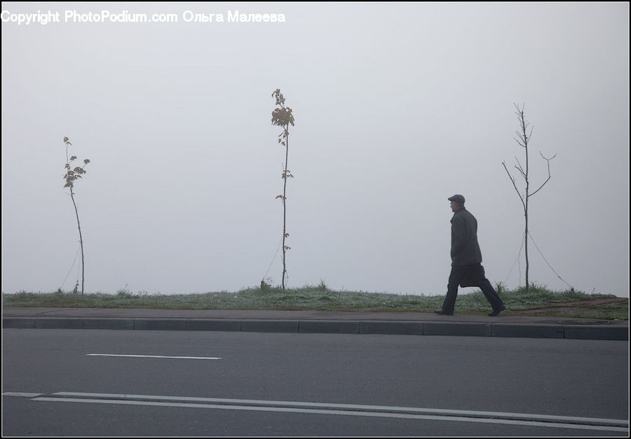 People, Person, Human, Asphalt, Tarmac, Freeway, Highway