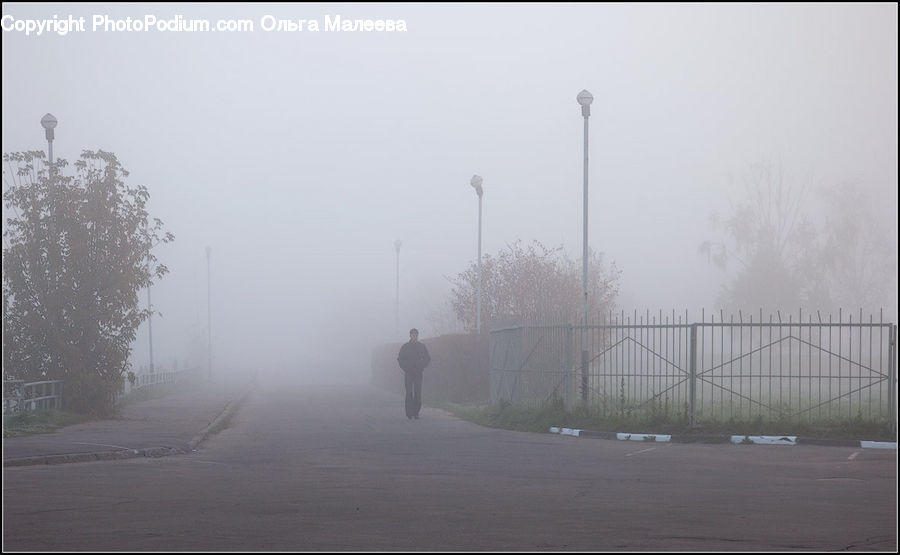 Fog, Pollution, Smog, Smoke, Mist, Outdoors